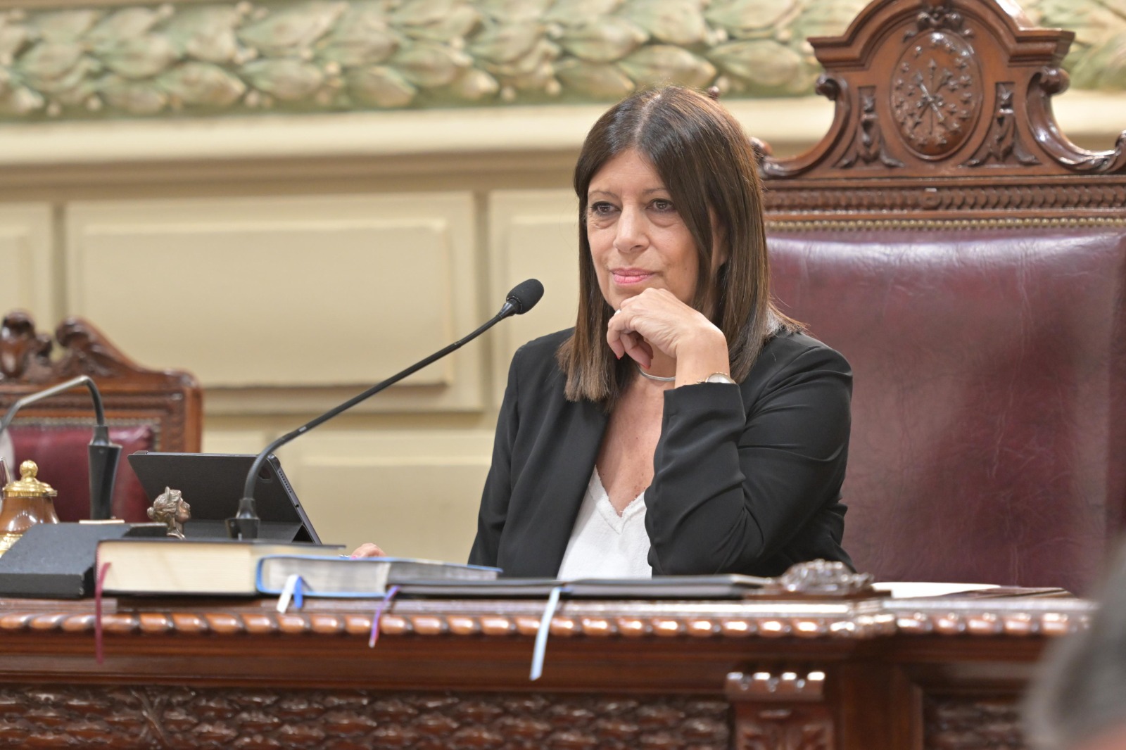 “El trabajo legislativo reflejó el cambio profundo que vive la provincia”  